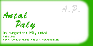 antal paly business card
